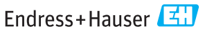 endress+hauser